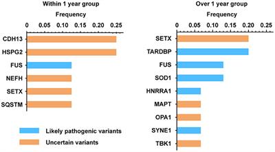 Fertility Does Not Alter Disease Progression in ALS Patients of Childbearing Age: A Three Centers Retrospective Analysis in Southern China